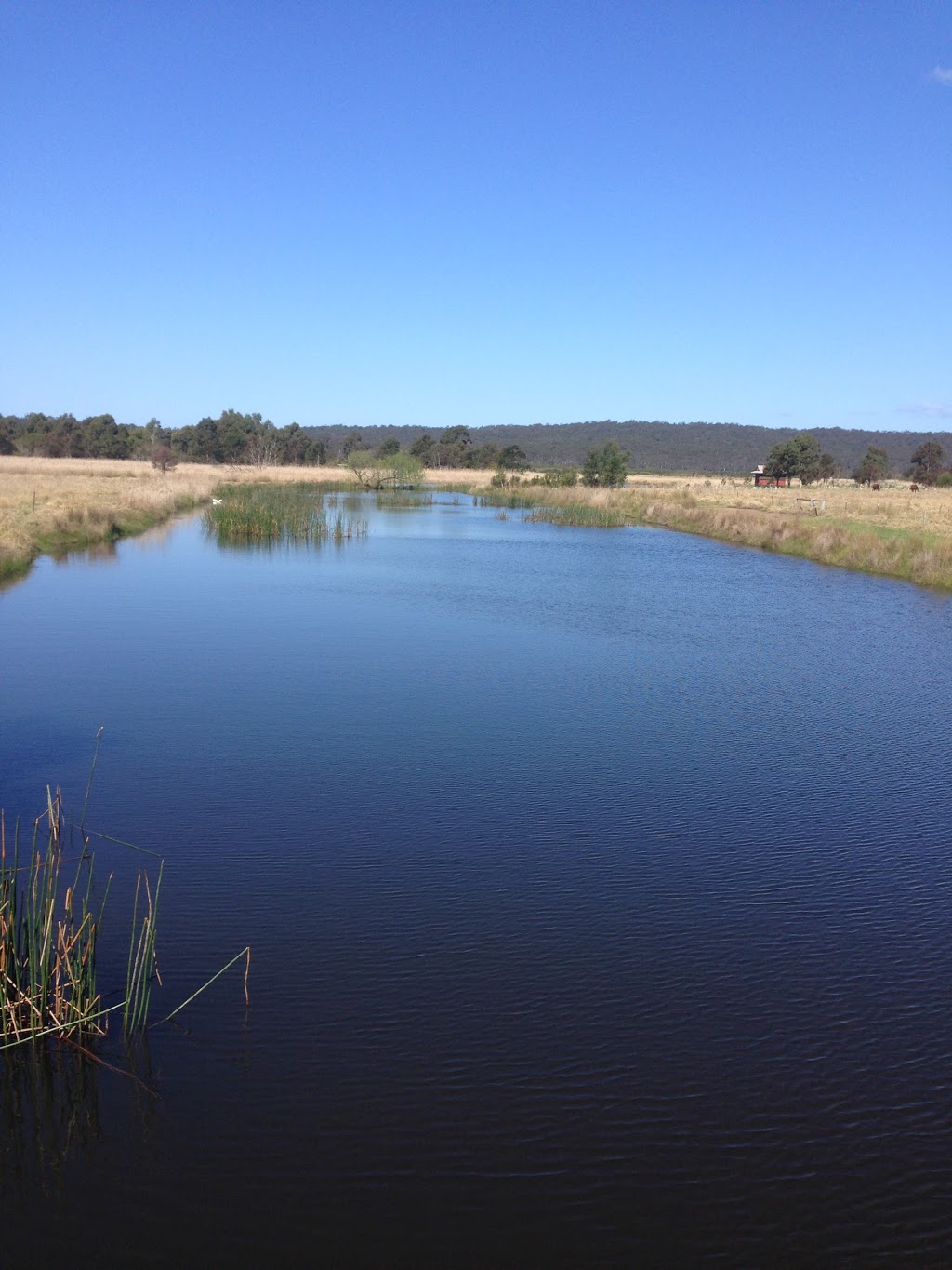 Watsons Waterhole Panboola | 46 Bullara St, Pambula NSW 2549, Australia