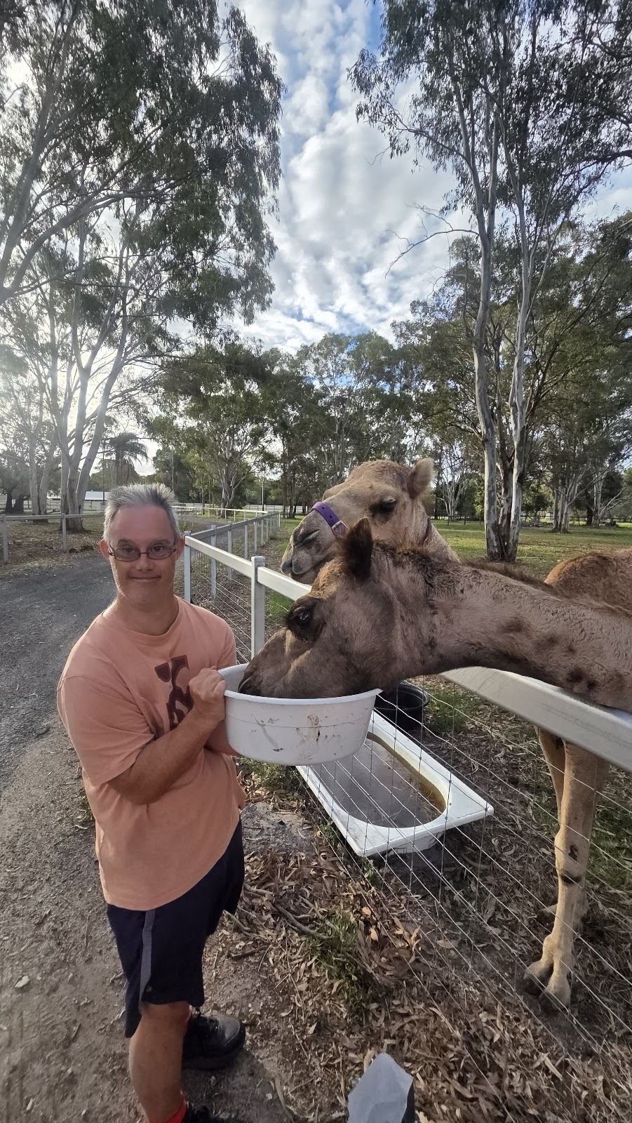 Our Farmily | 30 Bellay Rd, Beachmere QLD 4510, Australia | Phone: 0461 310 510