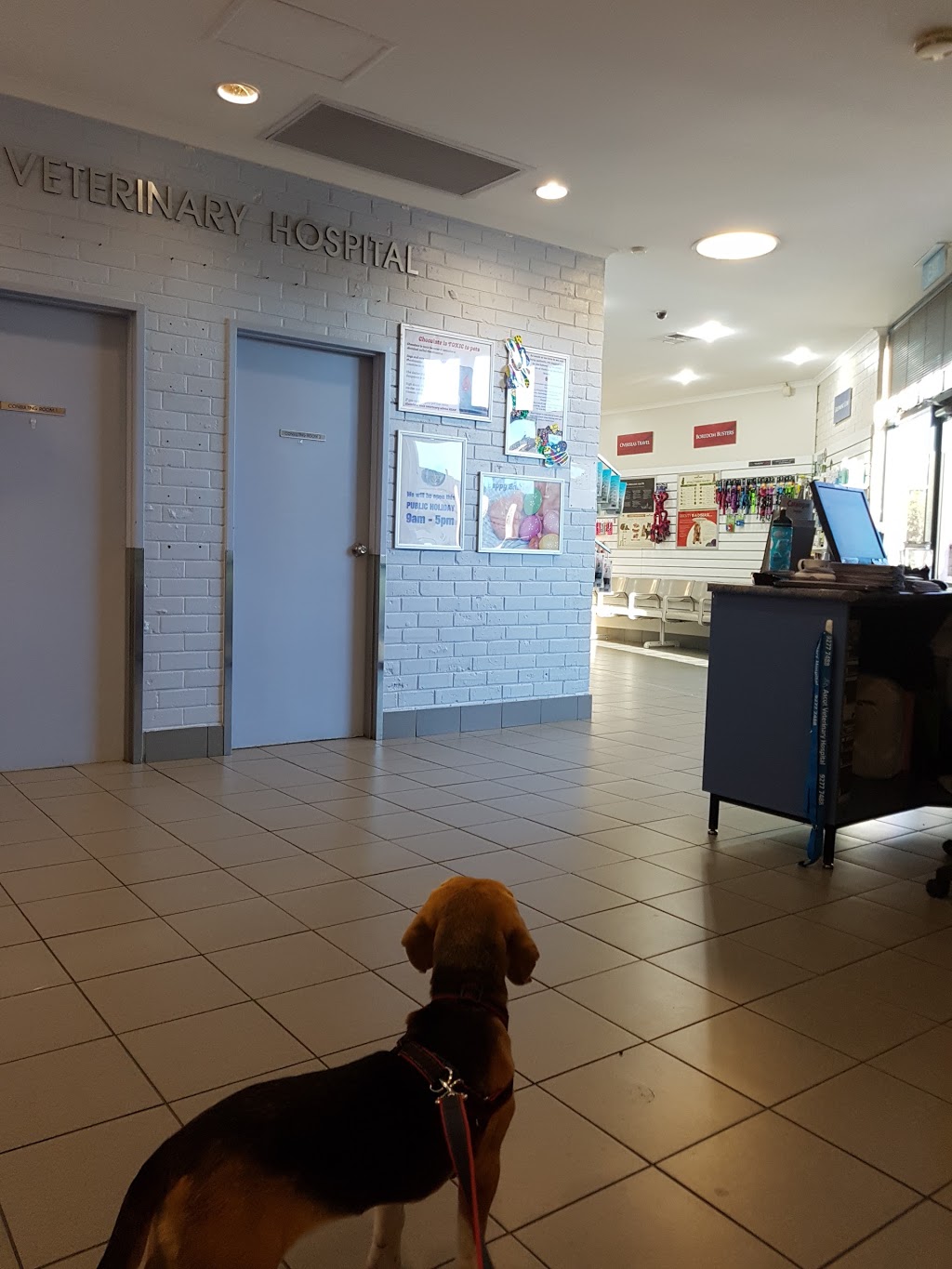 Ascot Veterinary Hospital | veterinary care | 39 Leake St, Belmont WA 6104, Australia | 0892777488 OR +61 8 9277 7488