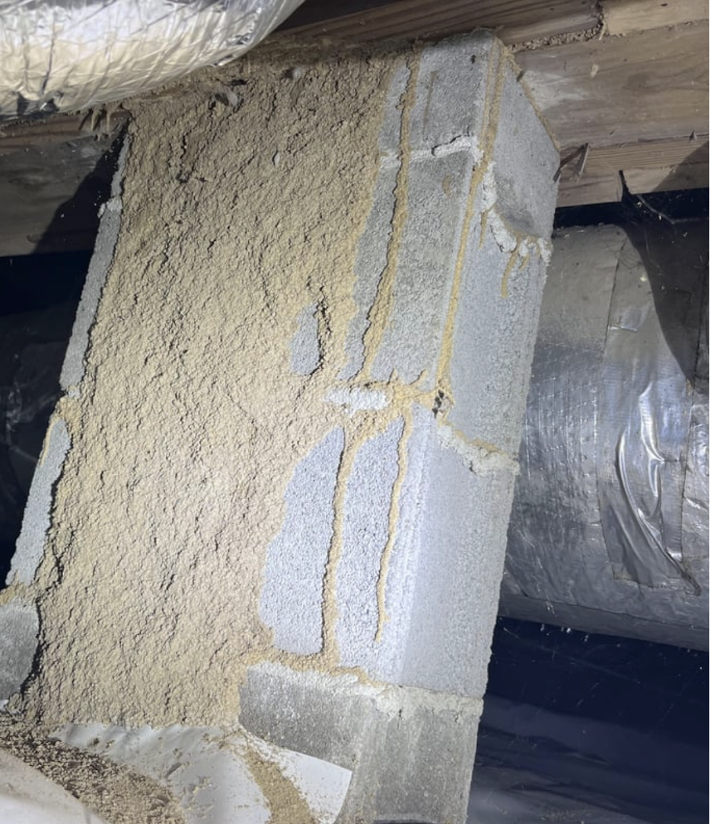 Resicert Property and Pest Inspections - Victoria – Gippsland | 420 Church Rd, Hazelwood North VIC 3840, Australia | Phone: 0418 242 801