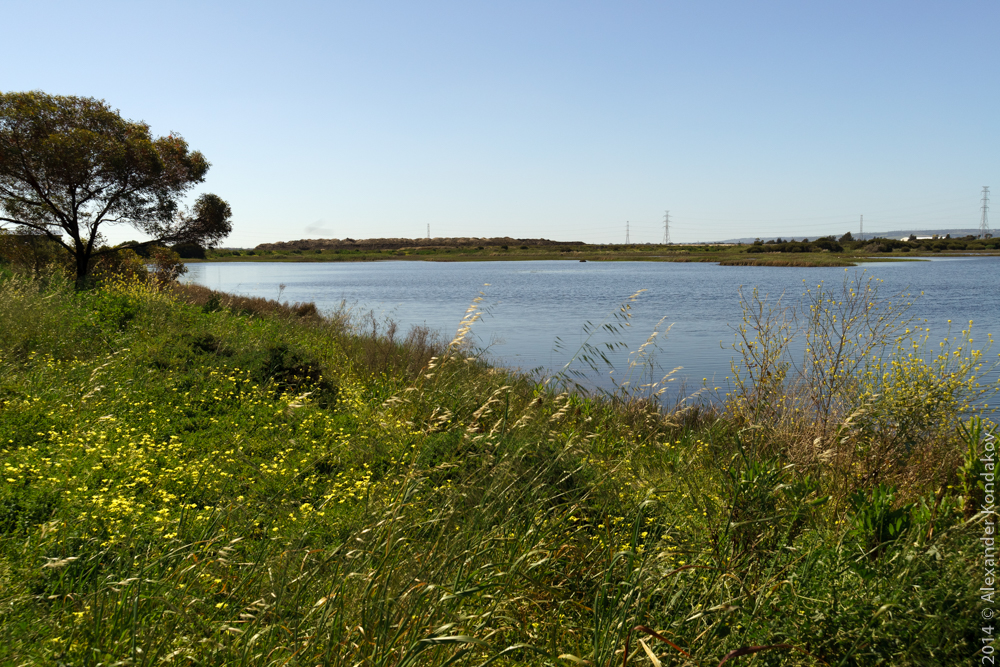 Greenfields Wetlands | park | Magazine Rd, Dry Creek SA 5094, Australia