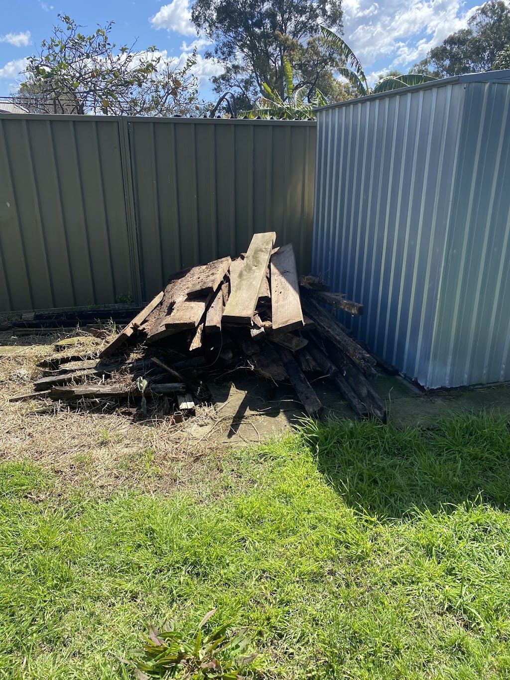 Down and Out Pest Control/Property Services | all areas, 20 Magree Crescent, Chipping Norton NSW 2170, Australia | Phone: 0412 463 242