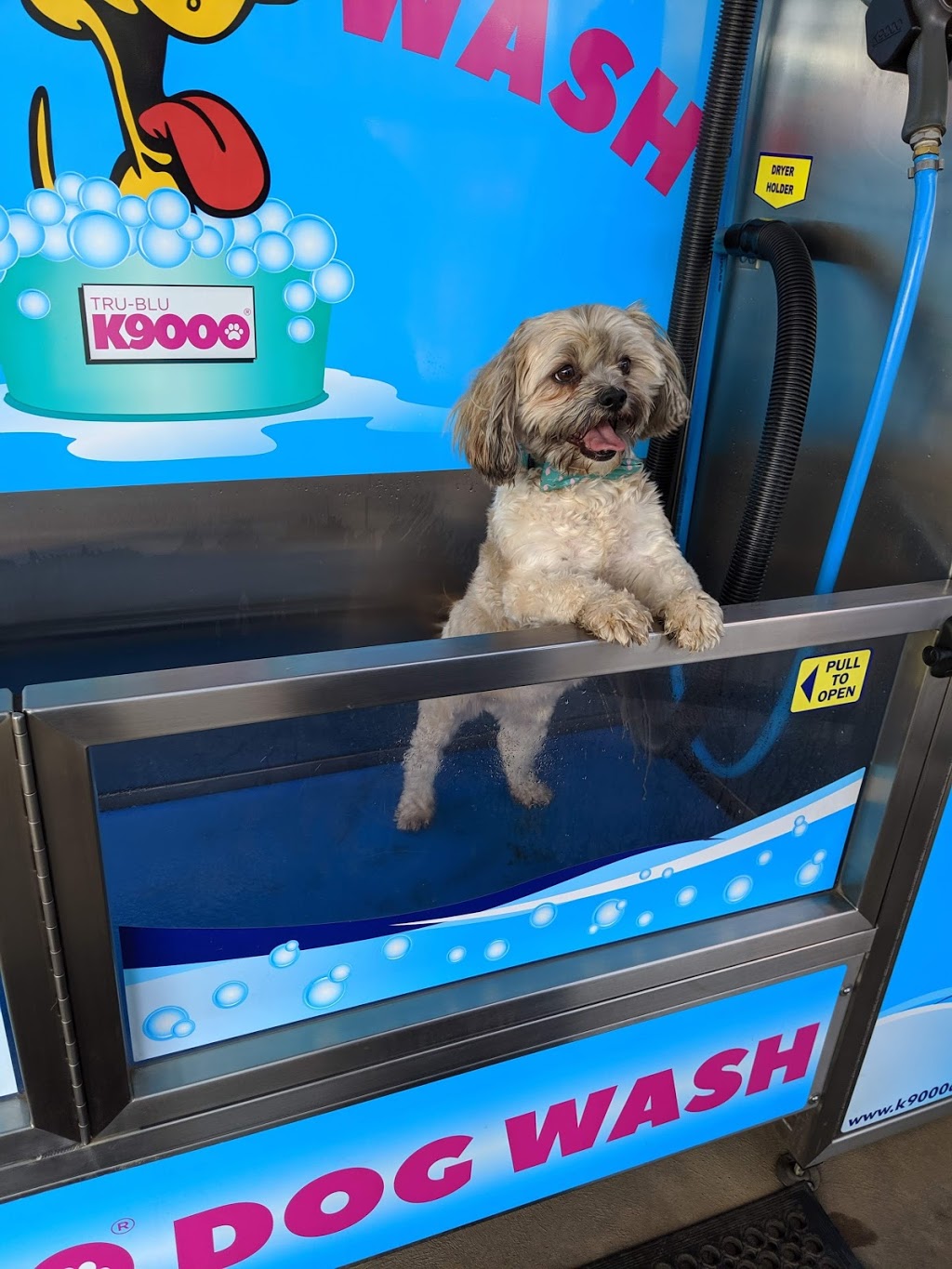 Tamworth Car and Dog Wash | 231 Goonoo Goonoo Rd, South Tamworth NSW 2340, Australia | Phone: 0408 383 179