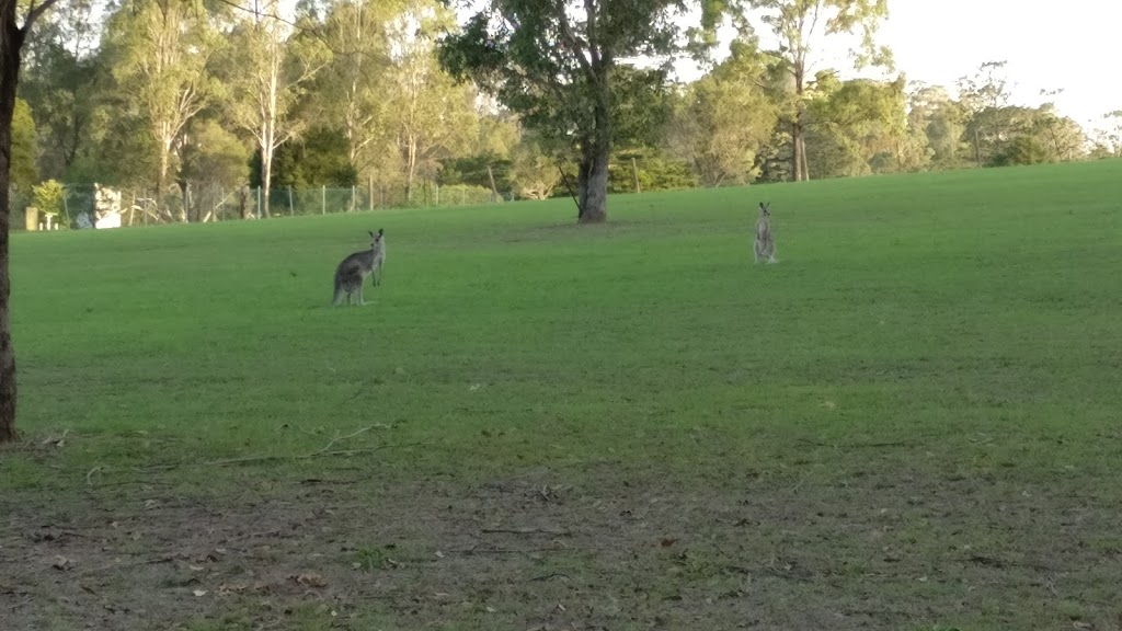 Andrew Campbell Reserve | park | William Lawson Dr, Prospect NSW 2148, Australia