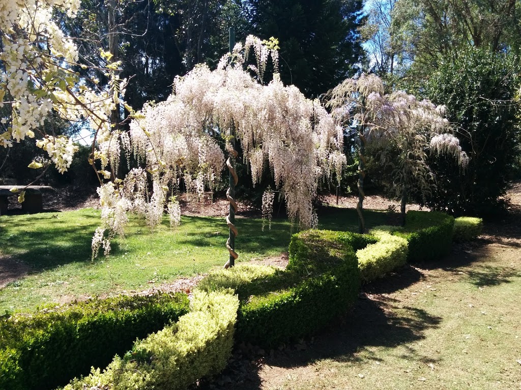 Cool Climate Garden Centre | 1 Glen Legh Rd, Glen Innes NSW 2370, Australia | Phone: 0429 321 551