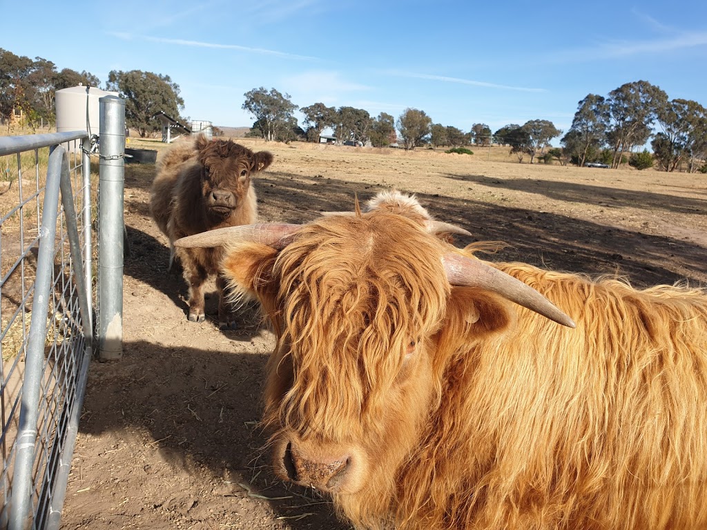 Yass Tiny Farm and Accommodation | 771 Good Hope Rd, Good Hope NSW 2582, Australia | Phone: 0412 669 519