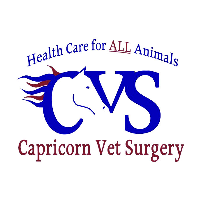 Capricorn Vet Surgery | pharmacy | 23 Gladstone Rd, Allenstown QLD 4700, Australia | 0749273688 OR +61 7 4927 3688