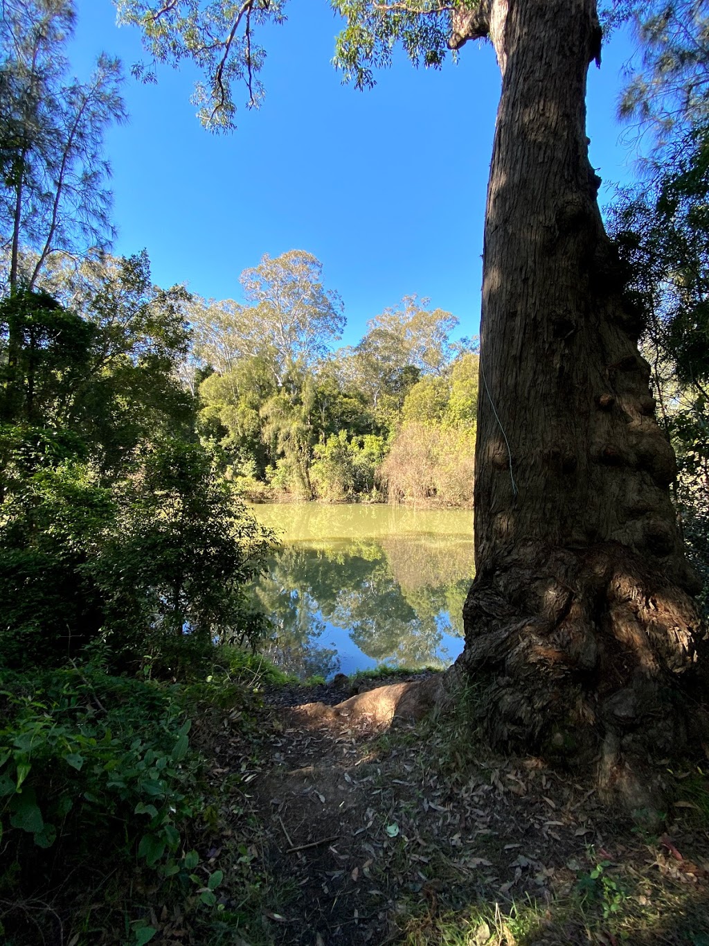 Mitchell Park Picnic Area |  | Creek Flat Rd, Maraylya NSW 2765, Australia | 1300072757 OR +61 1300 072 757