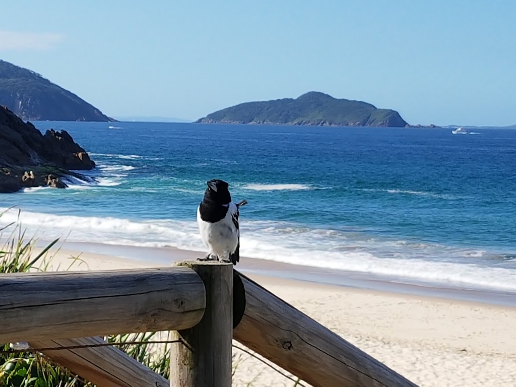 Box Beach | park | Shoal Bay NSW 2315, Australia