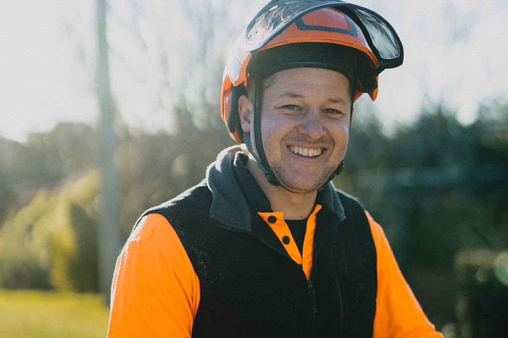 Harmony Tree Care | 143 Tableland Rd, Wentworth Falls NSW 2782, Australia | Phone: (02) 4711 0027