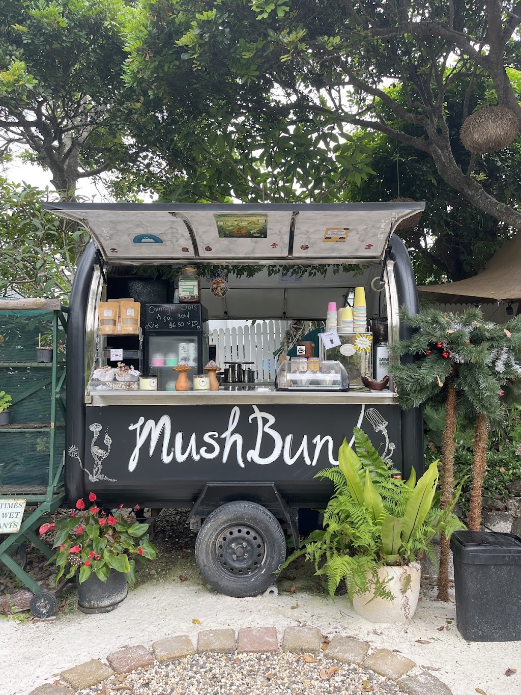 MushBun | 4 Ocean Ave, New Brighton NSW 2483, Australia | Phone: 0423 710 038