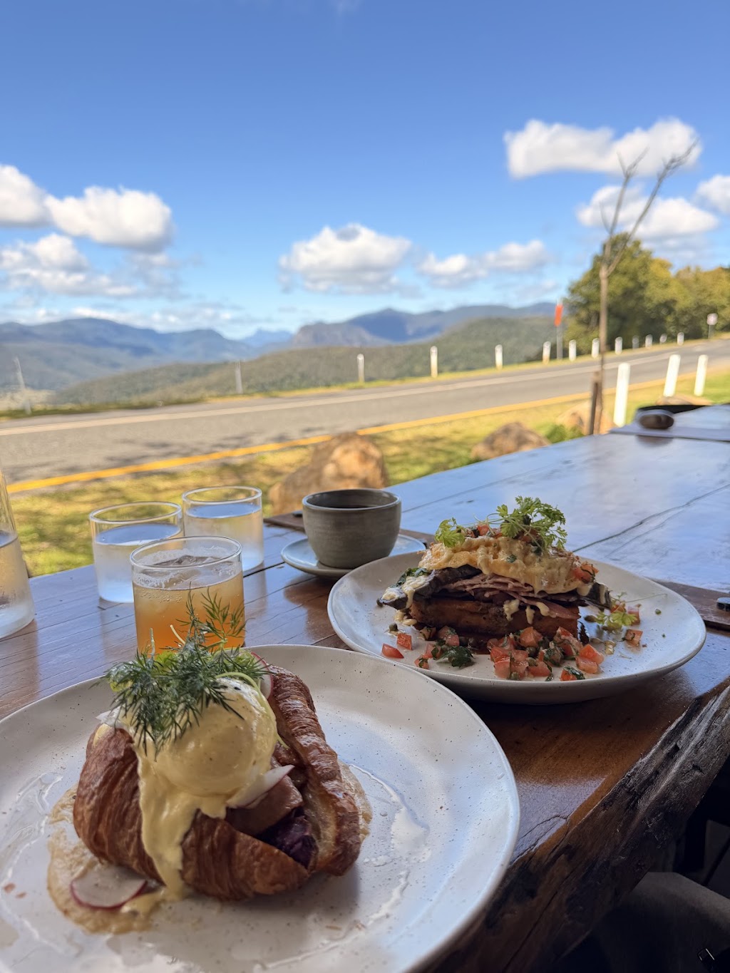 Walden | 1696 Beechmont Rd, Beechmont QLD 4211, Australia | Phone: 0498 348 393