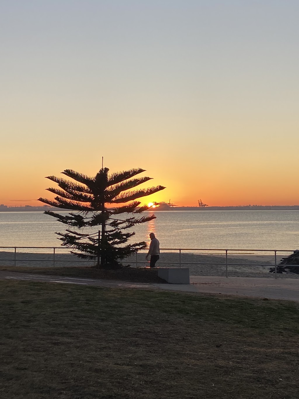 Healthy Sydney | Cook Park, Grand Parade Fitness Station #3, Sans Souci NSW 2217, Australia | Phone: 0437 703 644