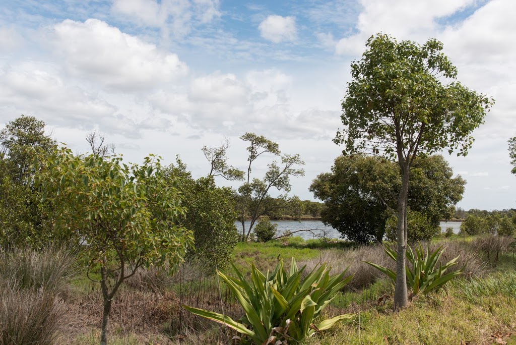 Kooragang Wetland Rehabilitation Project | park | Schoolhouse Road, Newcastle NSW 2322, Australia