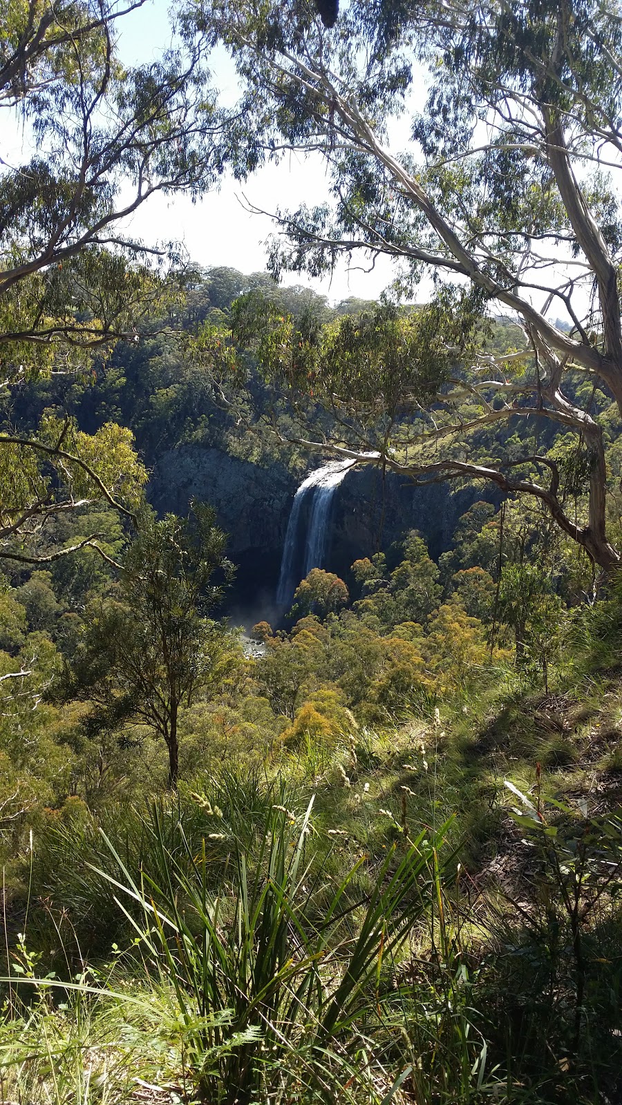 Guy Fawkes River National Park | park | The Gulf NSW 2365, Australia | 0266572309 OR +61 2 6657 2309