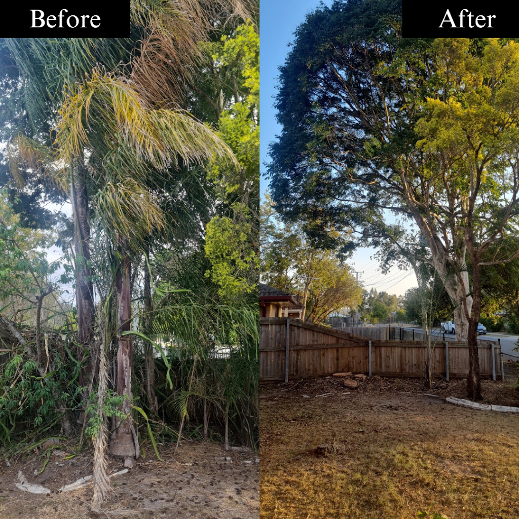 Trees N Terrain | 11 Rosewood Rd, Munruben QLD 4125, Australia | Phone: 0409 243 888