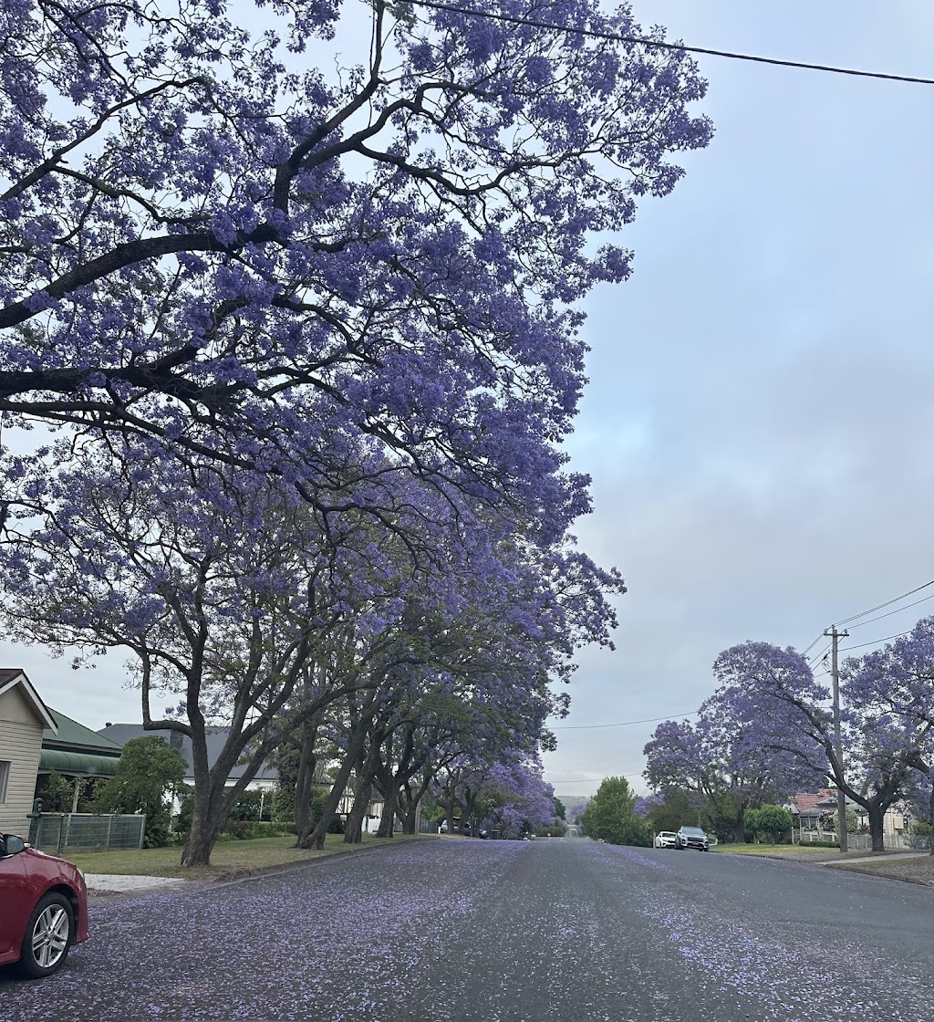 Victoria Park | Hill St, Muswellbrook NSW 2333, Australia | Phone: (02) 6549 3700