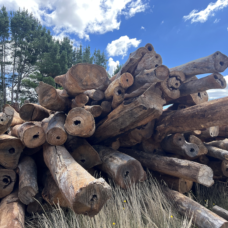 Mountain Lumber | 10 Sirius St, Oberon NSW 2787, Australia | Phone: 0472 548 989