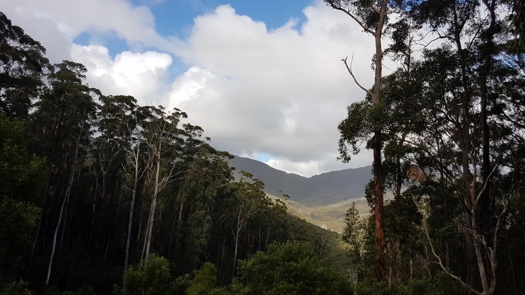 Lilly pilly Gully cir | Lilly Pilly Gully Circuit, Wilsons Promontory VIC 3960, Australia