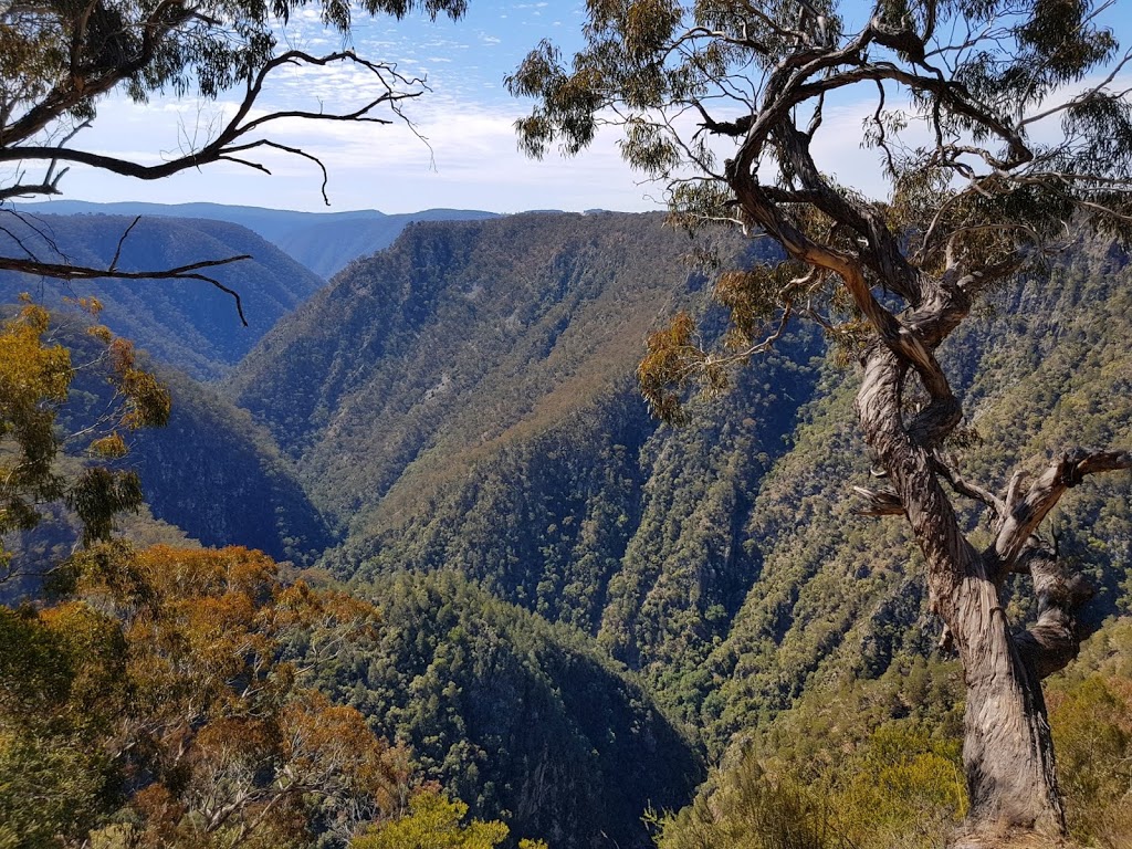 Tia Falls campground | Tia Falls Rd, Walcha NSW 2354, Australia | Phone: (02) 6777 4700