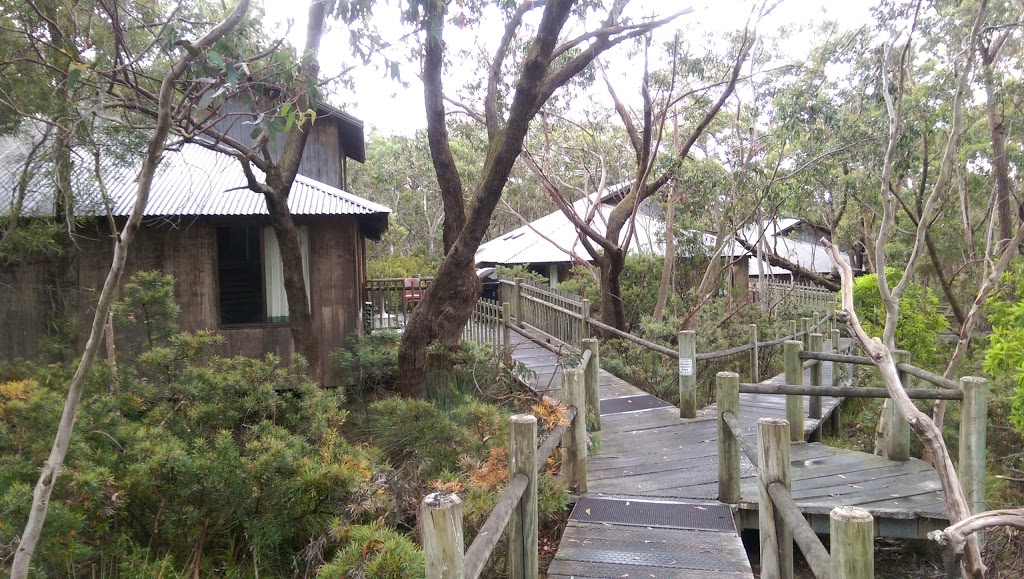 Jemby-Rinjah Eco Lodge | 336 Evans Lookout Rd, Blackheath NSW 2785, Australia | Phone: (02) 4787 7622