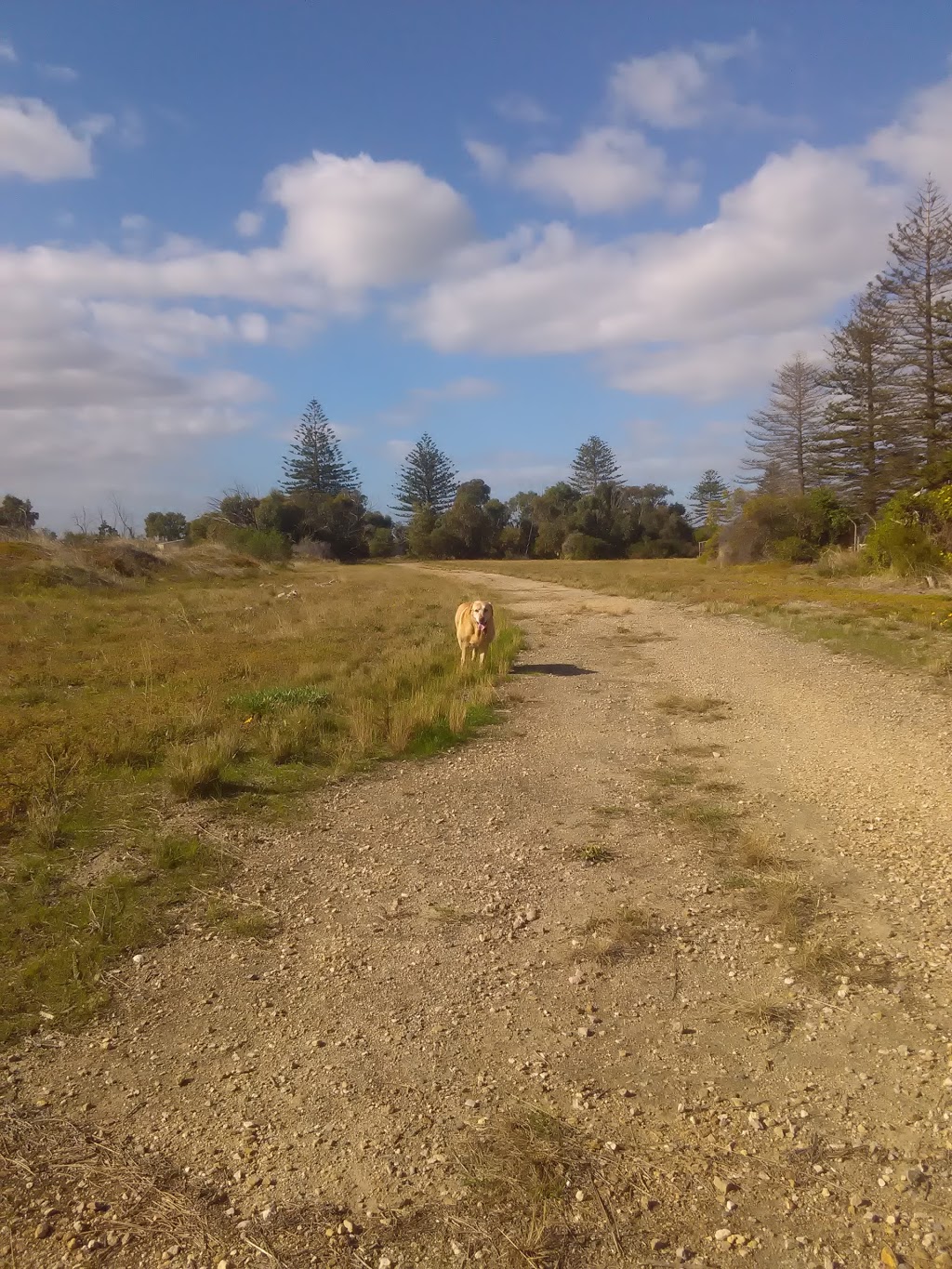 North Haven Golf Club | Lady Ruthven Dr, North Haven SA 5018, Australia | Phone: (08) 8248 3832