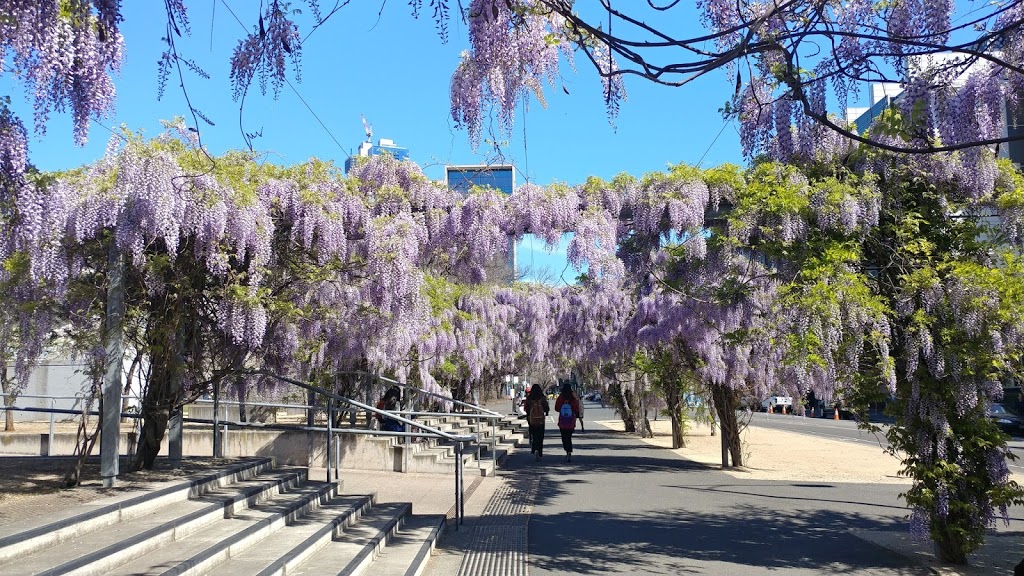 University Square | park | 190-192 Pelham St, Carlton VIC 3053, Australia | 0396589658 OR +61 3 9658 9658