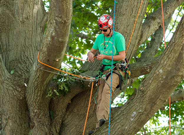 Go Tree Quotes | 8 Mondy Cres, Avoca Beach NSW 2251, Australia | Phone: 1800 252 208 Go Tree Quotes | 8 Mondy Cres, Avoca Beach NSW 2251, Australia | Phone: 1800 252 208