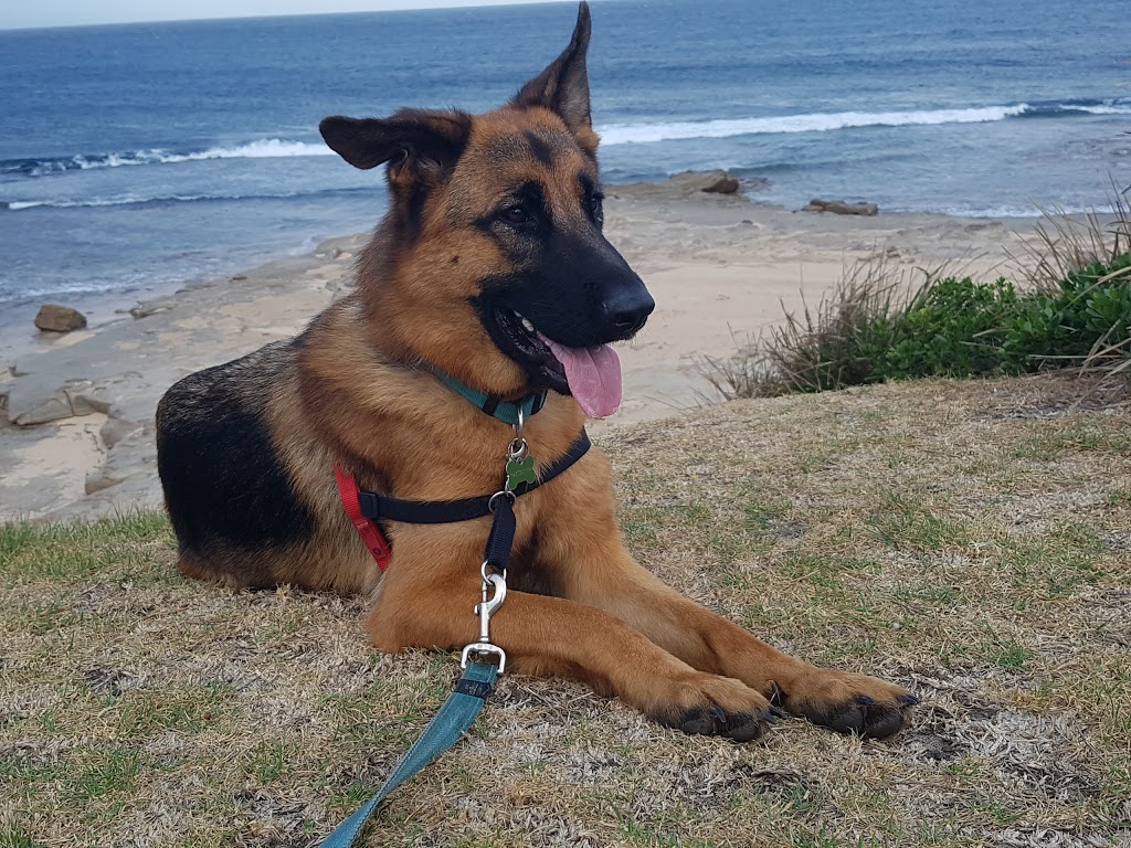 Bark at the Beach | park | Thirroul NSW 2515, Australia