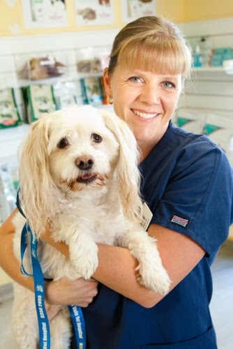 Pascoe Vale Veterinary Hospital | veterinary care | Cnr of Derby Street and Kent Rd, Pascoe Vale VIC 3044, Australia | 0393502955 OR +61 3 9350 2955