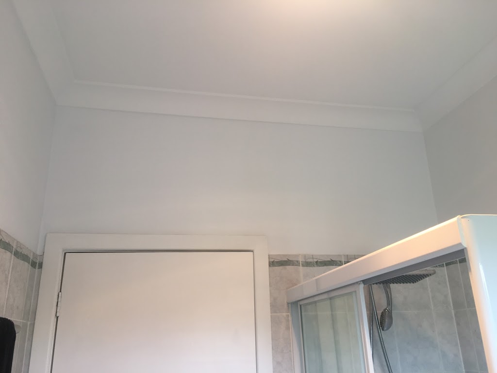 ZS Painting Services | 576 Salisbury Rd, Beaconsfield Upper VIC 3808, Australia | Phone: 0422 791 723