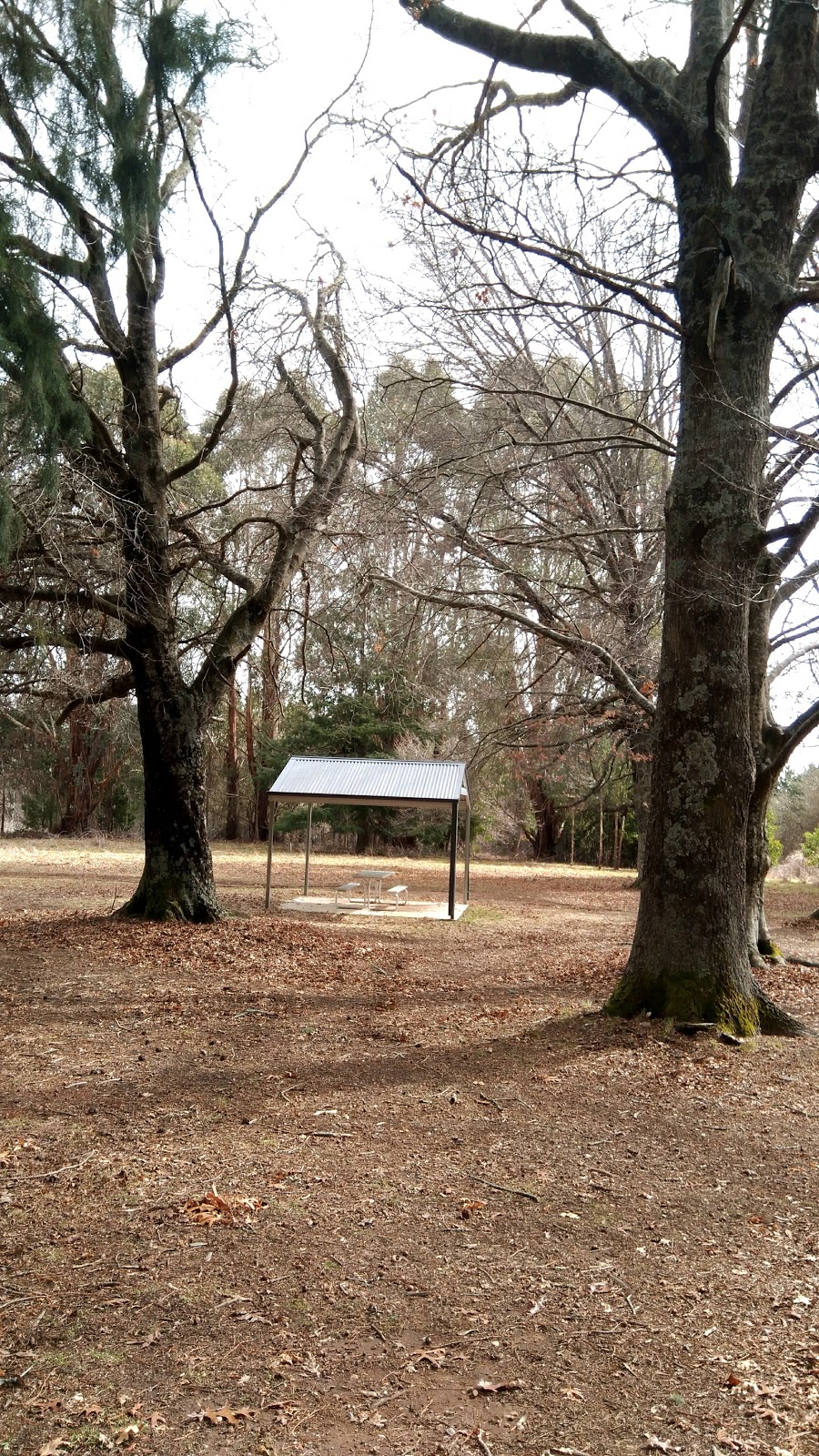 Lochinver Park | park | Laurel Hill NSW 2649, Australia