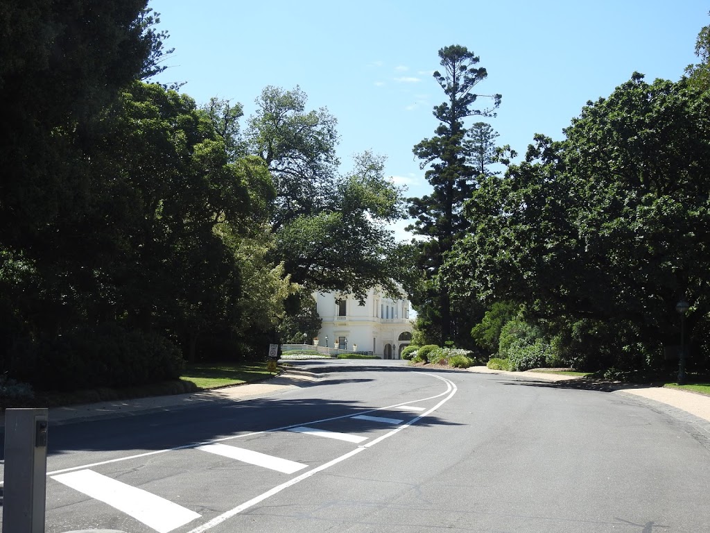 Morton Bay Fig Bed | Government House Dr, Melbourne VIC 3004, Australia