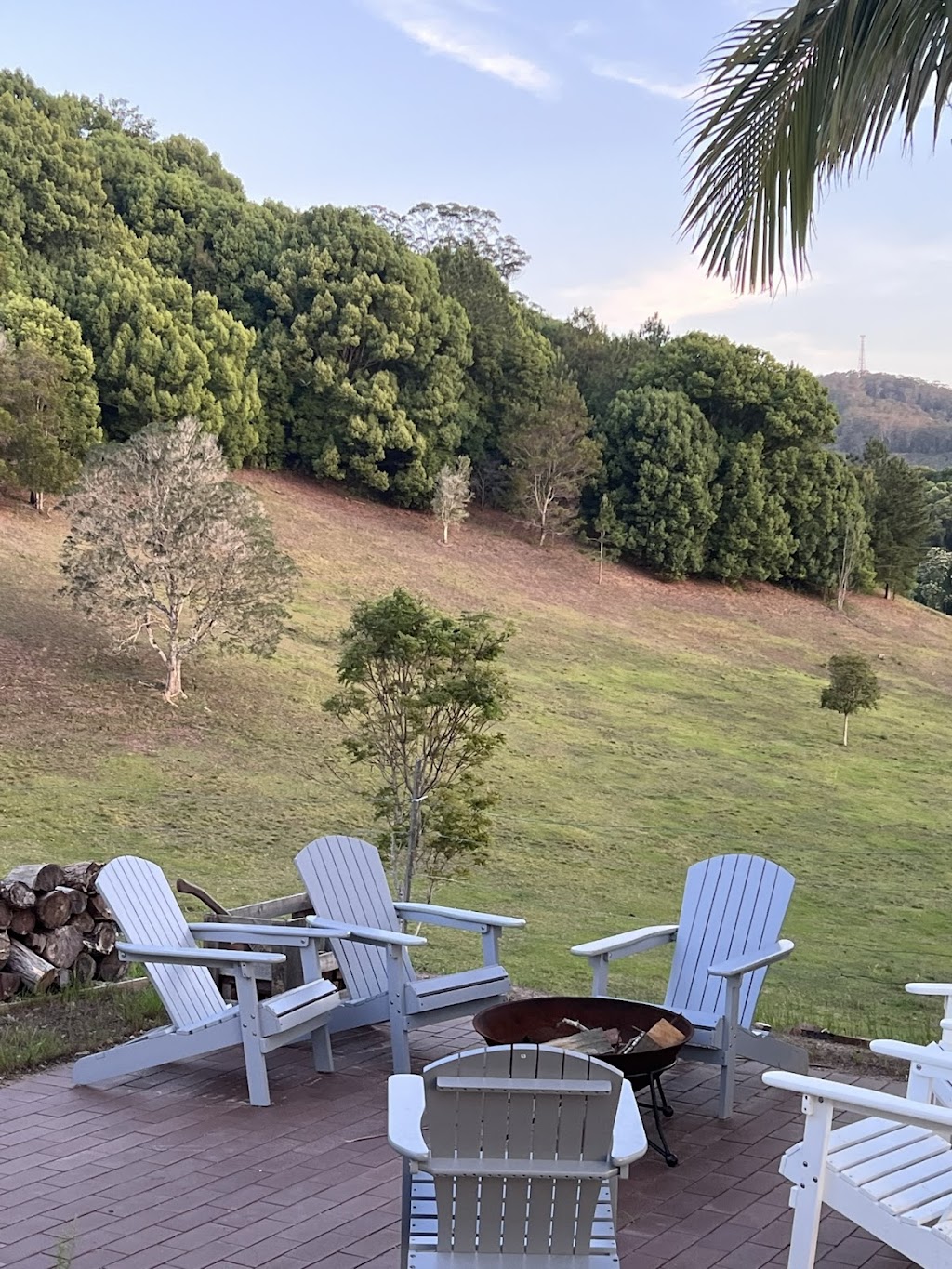 Fernvale Farm | 487 Wardrop Valley Rd, Fernvale NSW 2484, Australia | Phone: 0408 188 184