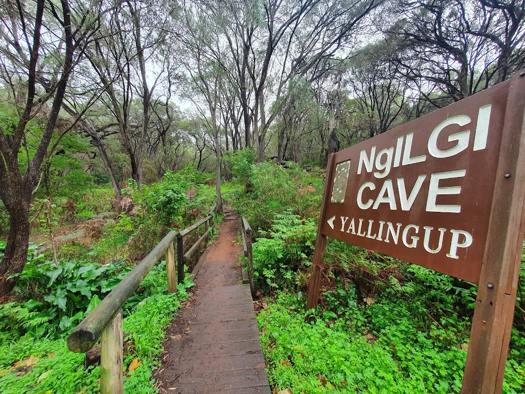 Ngilgi Cave | tourist attraction | 76 Yallingup Caves Rd, Yallingup WA 6282, Australia | 0897577411 OR +61 8 9757 7411