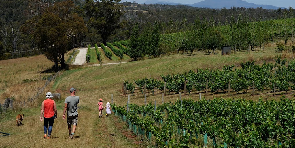 Sinapius Wines | 4232 Bridport Rd, Pipers Brook TAS 7254, Australia | Phone: 0488 740 234