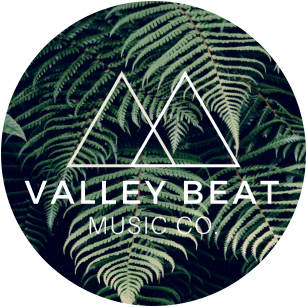 The Valley Beat Music Co | electronics store | 7 Toolijooa St, Tullimbar NSW 2527, Australia