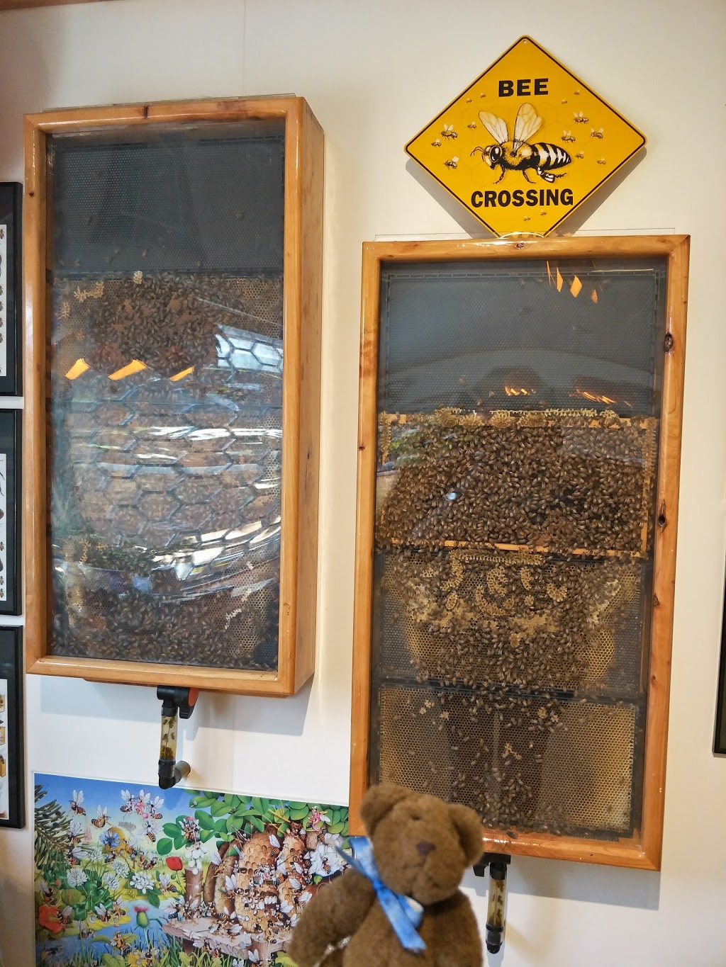 Honey Tasmania - The Beehive | store | 124 Main Rd, Exeter TAS 7275, Australia | 0363319300 OR +61 3 6331 9300
