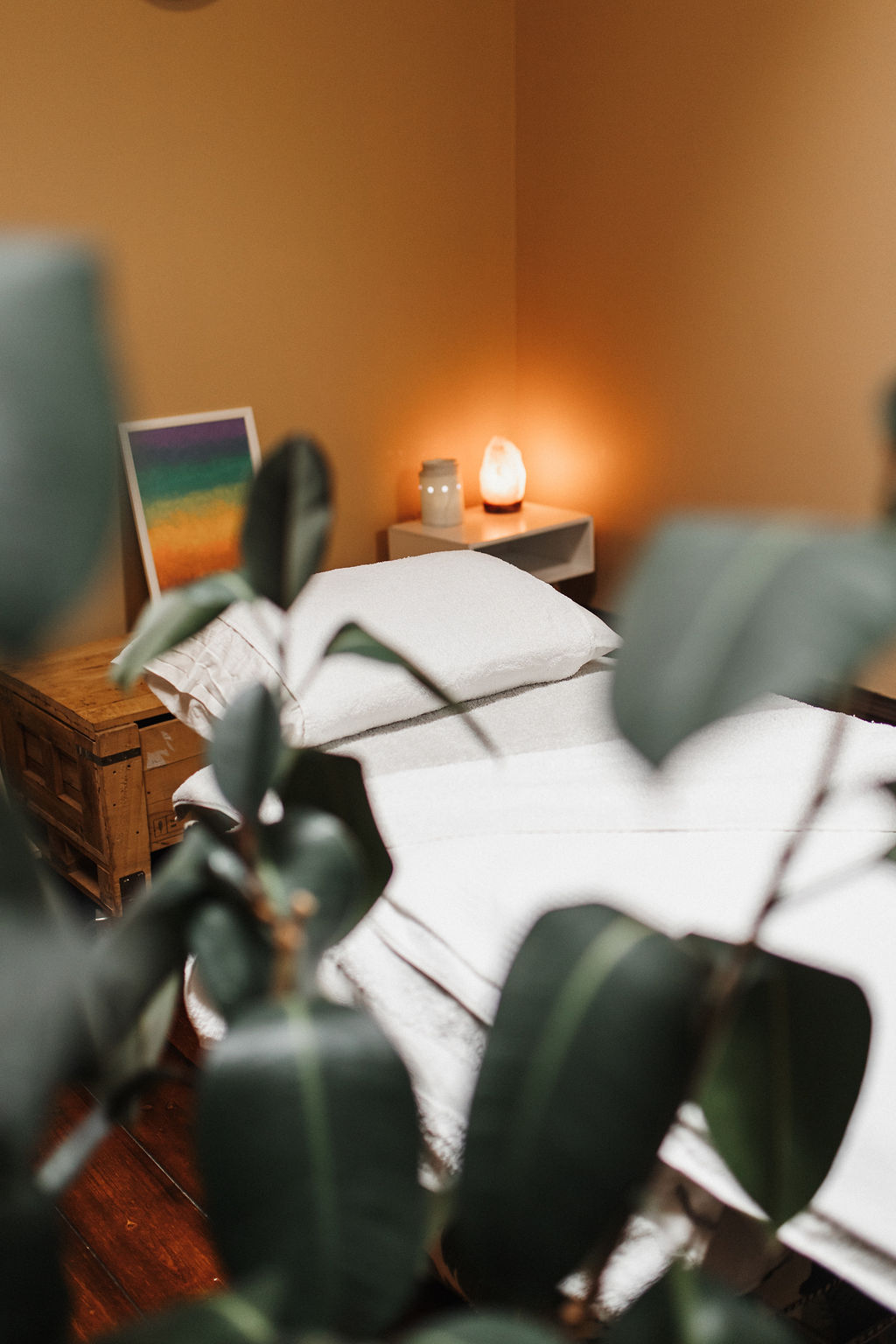 The Healthy Hub Wellness Centre | 25 Sturt St, Ballarat Central VIC 3350, Australia | Phone: 0438 317 583