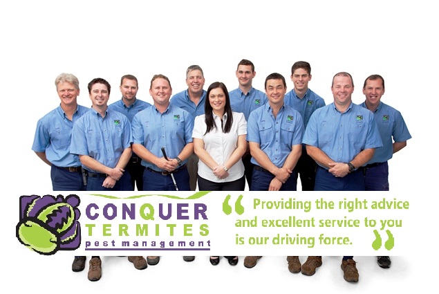 Conquer Termites and Pest Control - Dayboro | home goods store | 52 Bradley St, Dayboro QLD 4521, Australia | 0738433551 OR +61 7 3843 3551