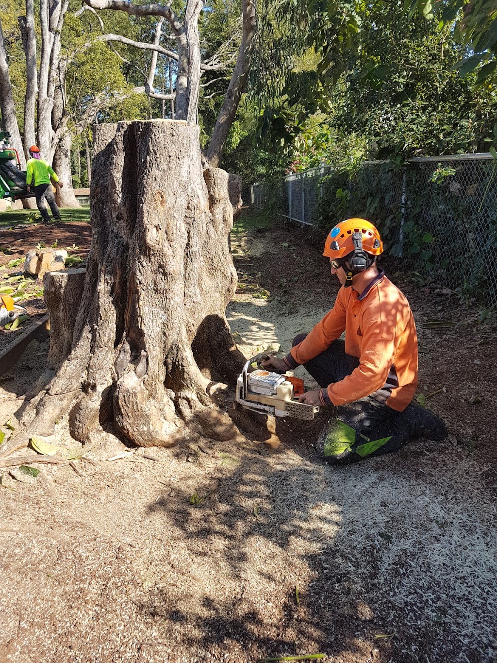 Steves Stump Grinding & Tree Services |  | 10 School Rd, Yandina QLD 4561, Australia | 0438728183 OR +61 438 728 183