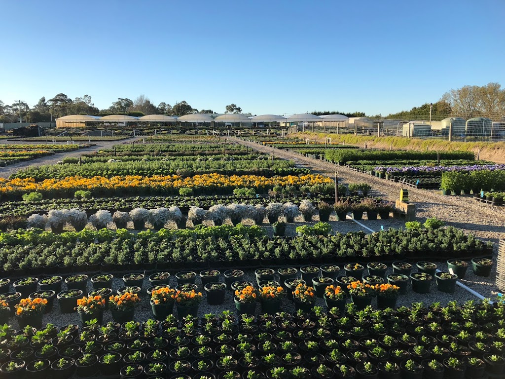 Plantex Nursery | 110 Campbells Rd, Clyde VIC 3978, Australia | Phone: (03) 5998 5552