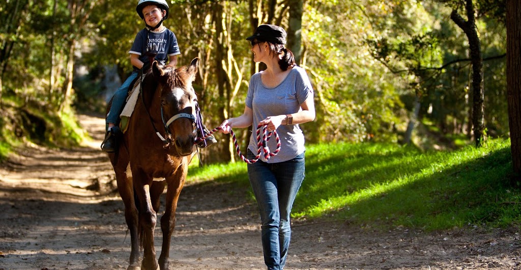 Camden Bicentennial Equestrian Park | 42 Exeter St, Camden NSW 2570, Australia | Phone: 0438 467 871