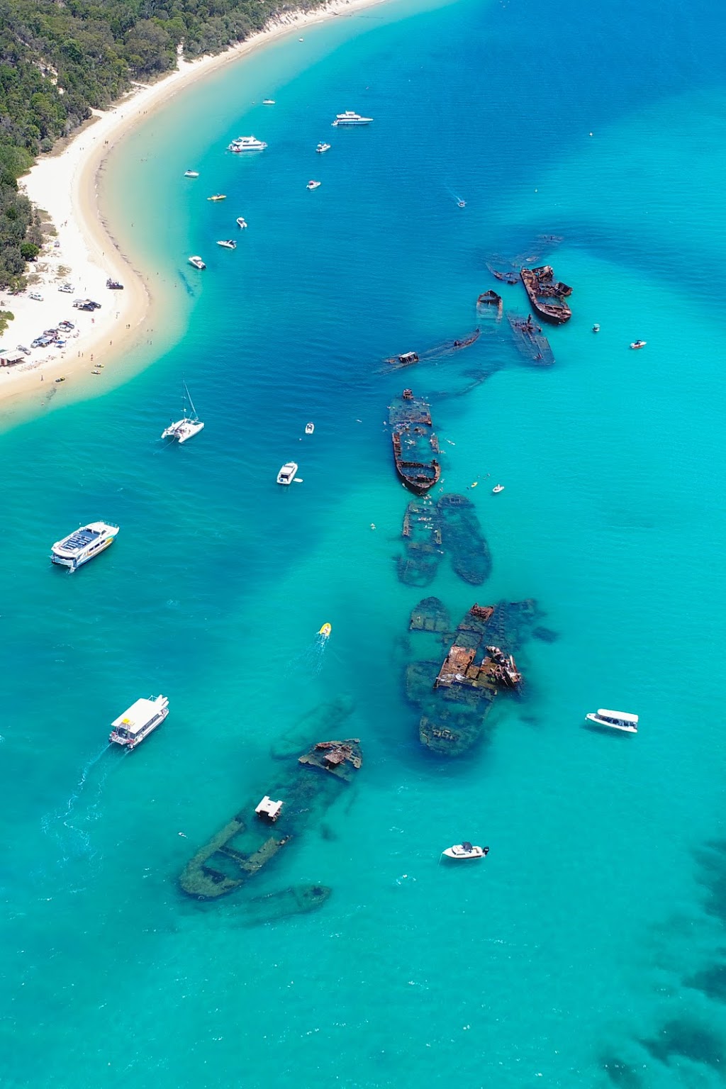 Big Blue Charters | travel agency | 60/70 Seaworld Dr, Main Beach QLD 4218, Australia | 0400099949 OR +61 400 099 949