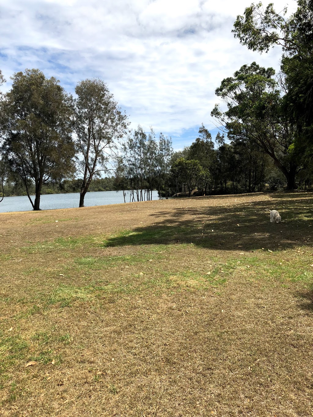 Dogs off leash area | park | Sirius Key, Forster NSW 2428, Australia | 0265917222 OR +61 2 6591 7222
