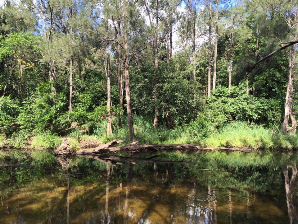 Bunya Crossing Reserve | park | 88 Dugandan Rd, Albany Creek QLD 4035, Australia | 0732050555 OR +61 7 3205 0555