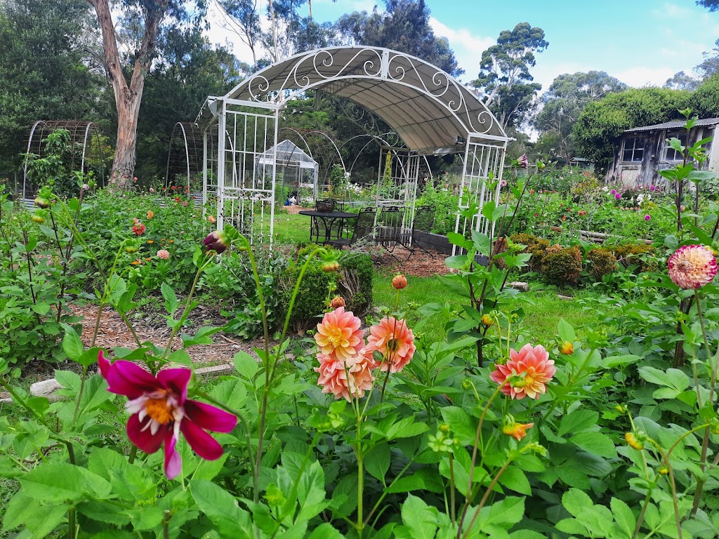 Harvest Homestead | 229 Glenfern Rd, Upwey VIC 3158, Australia | Phone: 0477 733 881