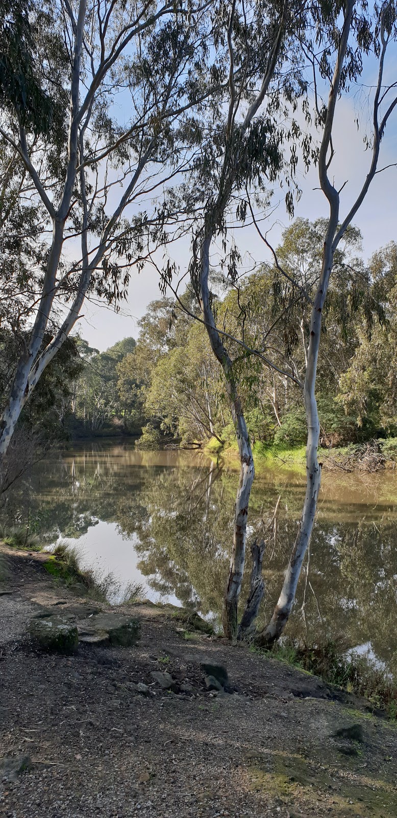 Merri Creek | Merri Creek Trail Bridge, Abbotsford VIC 3067, Australia