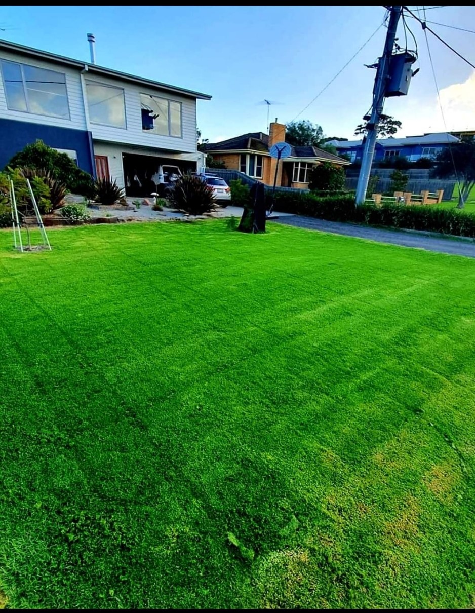 Eco Greens Mowing Service | 126 Orton St, Ocean Grove VIC 3226, Australia | Phone: 0431 188 371