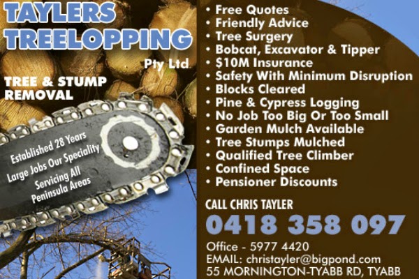 Taylers Treelopping | 55 Mornington-Tyabb Rd, Tyabb VIC 3913, Australia | Phone: 0418 358 097